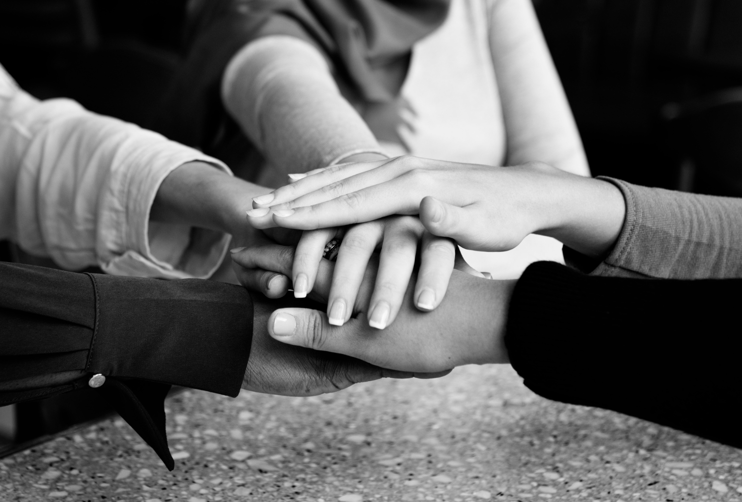 About Jaysons Holdings